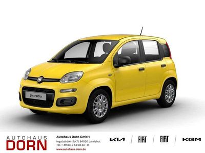 Neu Fiat Panda Icon 65 PS (47 kW) 2026 Positano gelb Kleinwagen