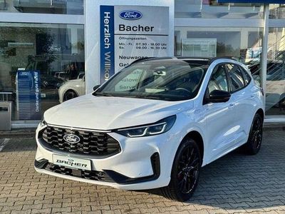 Gebraucht Ford Kuga ST-Line X 242 PS (177 kW) 2025 Weiß SUV