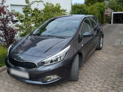 Gebraucht Kia Ceed FIFA World Cup Edition 99 PS (72 kW) 2014 Grau Kleinwagen