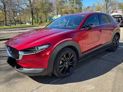 Gebraucht Mazda CX-30 Homura-Line 140 PS (102 kW) 2022 Rot SUV