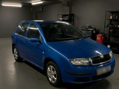 Blau Gebraucht 2007 Skoda Fabia Kleinwagen | 2.499 € (Fairer Preis)