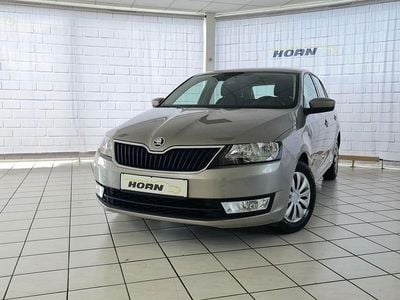 Gebraucht Skoda Rapid Ambition 86 PS (63 kW) 2014 Beige Kombi