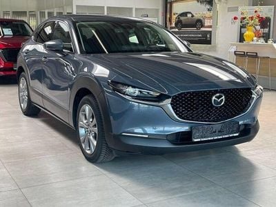 Gebraucht Mazda CX-30 Exclusive-Line 122 PS (89 kW) 2024 Grau SUV