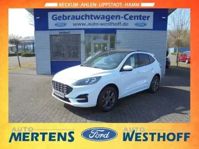 Gebraucht Ford Kuga ST-Line X 224 PS (164 kW) 2022 Weiß SUV