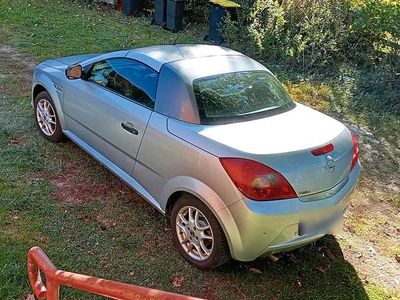 Second-hand Opel Tigra 110 CP (80 kW) 2005 Argintiu Cabrio