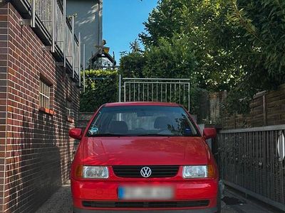 VW Polo