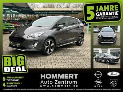 Usata Ford Fiesta Active 125 CV (91 kW) 2018 Grigio Utilitaria