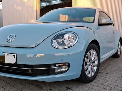 VW Beetle