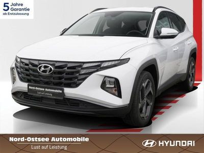 gebraucht Hyundai Tucson Plug-in-Hybrid 1.6 T-GDi 4WD CarPlay PDC