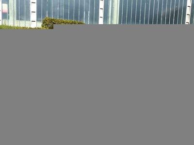 Gebraucht Dacia Lodgy Celebration 116 PS (85 kW) 2017 Blau sky Van / Kleinbus