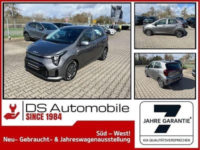 Usata Kia Picanto Vision 63 CV (46 kW) 2024 Grigio Utilitaria