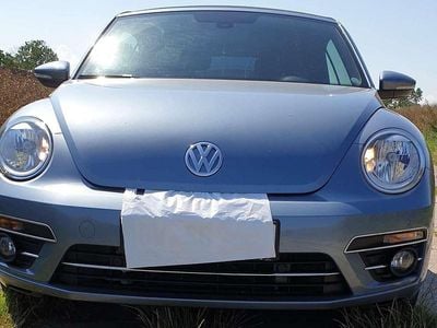 VW Beetle