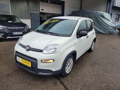 Gebraucht Fiat Panda 69 PS (50 kW) 2022 Colore esterno (weiss) Kleinwagen