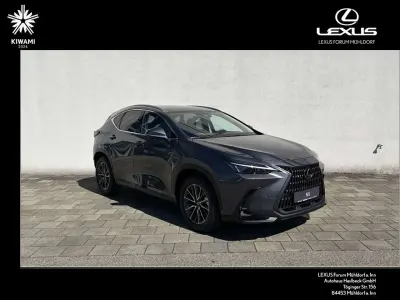 Gebraucht Lexus NX450h+