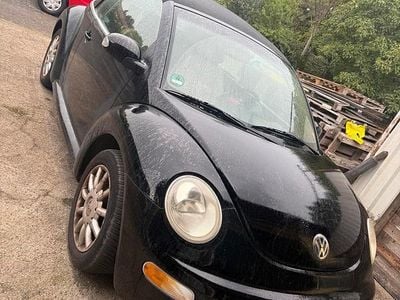 VW Beetle