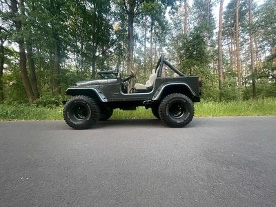 Gebraucht Jeep CJ 250 PS (183 kW) 1981 Grau SUV