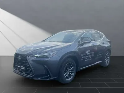 Brugt Lexus NX450h+ Executive Line 185 HK (136 kW) 2025 Grå SUV