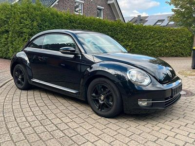 VW Beetle