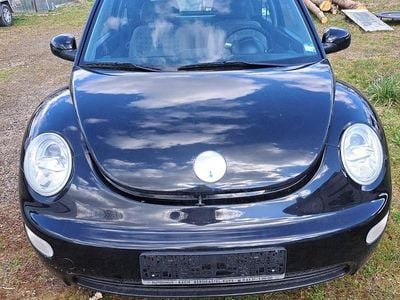 VW Beetle