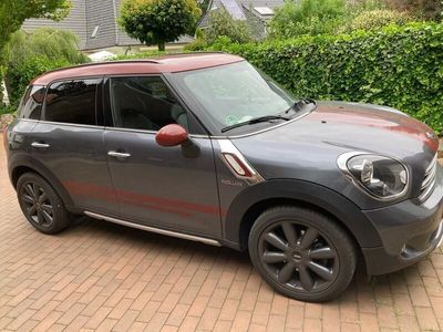 Mini Park Lane Countryman