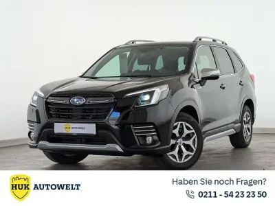 Gebraucht Subaru Forester