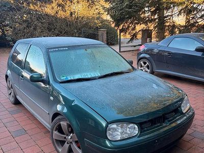 Grün Gebraucht 2004 VW Golf IV Kleinwagen | 800 € (Fairer Preis)