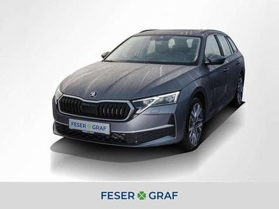 Graphitegrau Gebraucht 2025 Skoda Octavia Selection Kombi | 33.890 € (Fairer Preis)