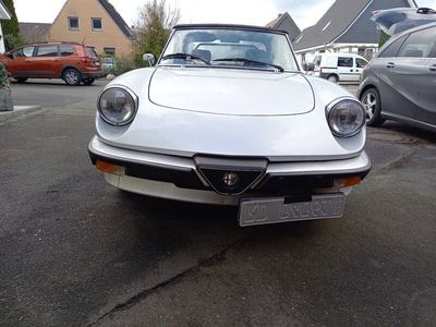 gebraucht Alfa Romeo Spider 