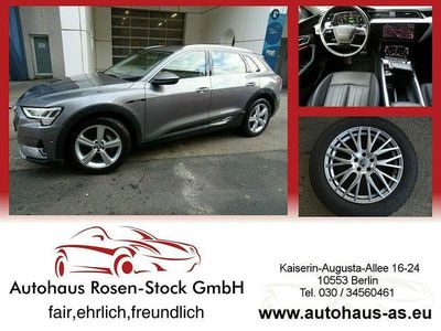 Grau Gebraucht 2019 Audi e-tron Advanced SUV | 39.900 € (Teuer)