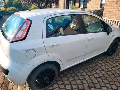 gebraucht Fiat Punto Evo 