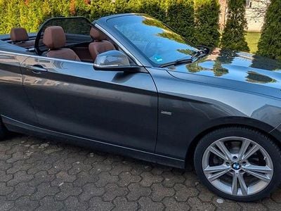 Gebraucht BMW 220 Luxury Line 184 PS (135 kW) 2017 Grau Cabrio