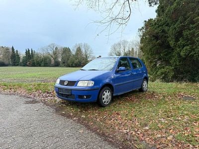 Blau Gebraucht 2002 VW Polo Kleinwagen | 600 € (Guter Preis)