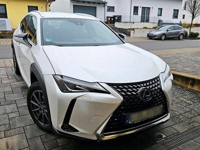 Weiß Gebraucht 2020 Lexus UX 250h SUV | 20.600 € (Guter Preis)