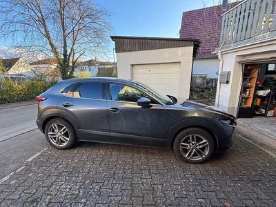 Gebraucht Mazda CX-30 Selection 116 PS (85 kW) 2020 Grau SUV
