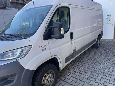 Usata Fiat Ducato 131 CV (96 kW) 2016 Bianco Furgone