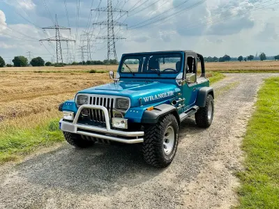 Gebraucht Jeep Wrangler 121 PS (88 kW) 1993 Blau SUV