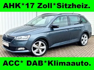 Gebraucht Skoda Fabia 110 PS (80 kW) 2019 Quarzgrau metallic Kleinwagen