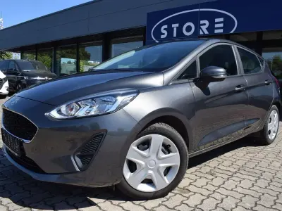 Gebraucht Ford Fiesta Trend 101 PS (74 kW) 2019 Magneticgrau metallic Kleinwagen