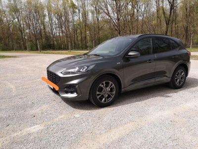 gebraucht Ford Kuga 2.0 EcoBlue Hybrid ST-Line X ST-Line X