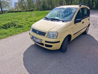 gebraucht Fiat Panda Kleinwagen Anfängerauto