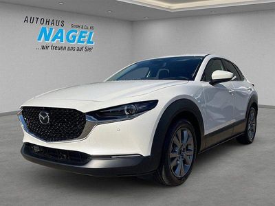 Neu Mazda CX-30 Exclusive-Line 140 PS (102 kW) 2025 Weiß SUV