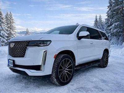 Weiß Gebraucht 2020 Cadillac Escalade SUV | 70.000 €