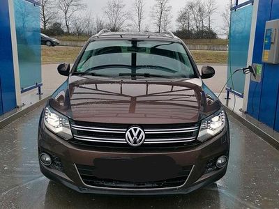 Gebraucht VW Tiguan Sportline 177 PS (130 kW) 2014 Braun SUV
