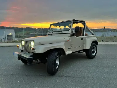Gebraucht Jeep Wrangler 177 PS (130 kW) 1993 Gold SUV