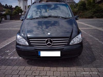 Mercedes Viano