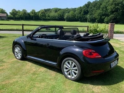 VW Beetle