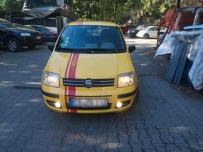 Usata Fiat Panda 60 CV (44 kW) 2005 Giallo Utilitaria