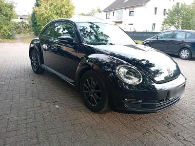 VW Beetle
