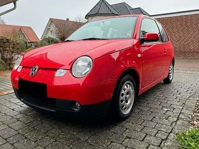 gebraucht VW Lupo 3L