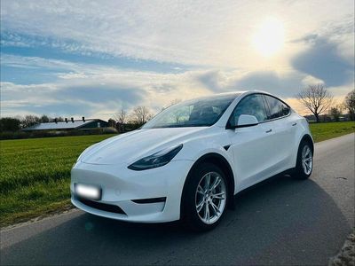 Usado Tesla Model Y 378 kW (514 HP) 2023 Branco SUV
